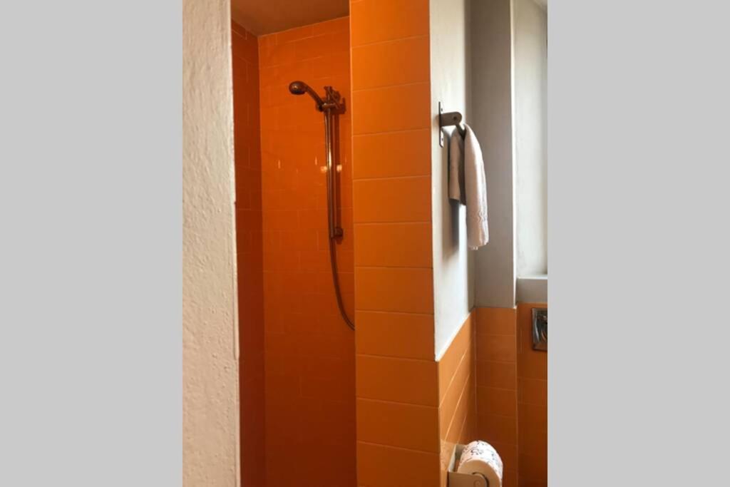 Sunny Top Floor In San Frediano フィレンツェ エクステリア 写真